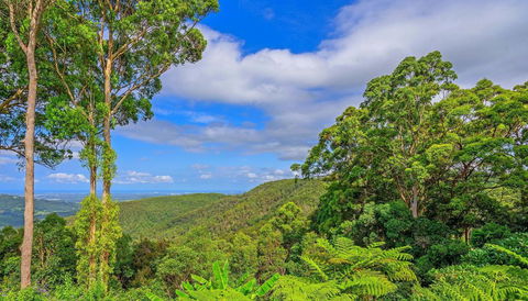 CLOUD 9 - Cliff Top Eagle Heights - Tourism Townsville 3
