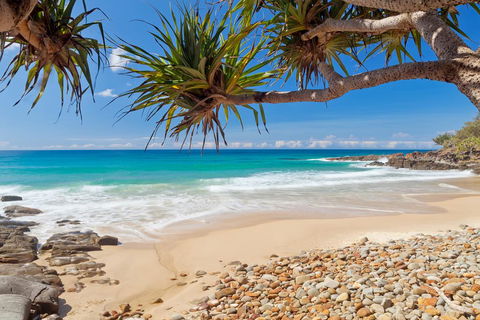 Coolum Classic Beach Shack - Pet Friendly - Tourism Townsville 0