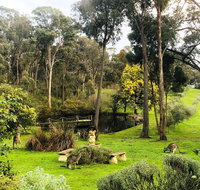 Countryside Retreat Intimate Studio Hepburn - Daylesford - Tourism Townsville