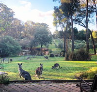 Countryside Retreat Spa Cottage Hepburn - Daylesford - Tourism Townsville