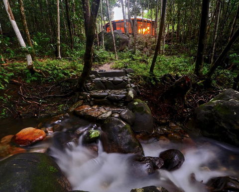 Daintree Cascades - Tourism Townsville 0