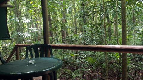 Daintree Crocodylus - Tourism Townsville 2