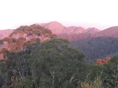 Day Dream Cottage - Tourism Townsville 2