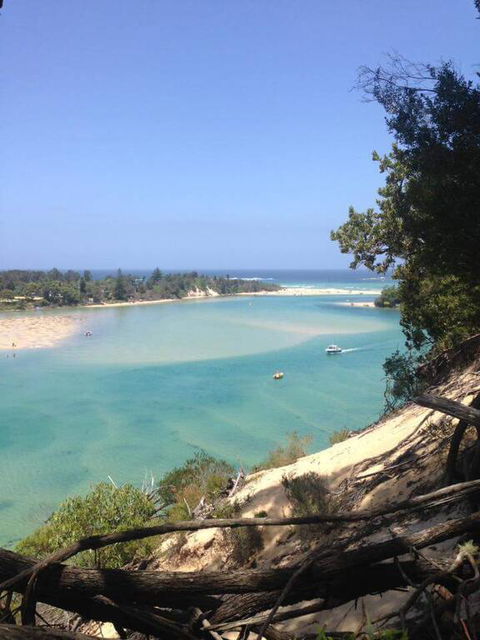 Driftwood - Tourism Townsville 3