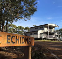 Echidna on Bruny - Tourism Townsville