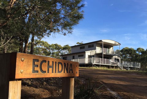 Echidna On Bruny - Tourism Townsville 0