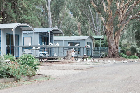 Eildon Pondage Holiday Park - Tourism Townsville 3