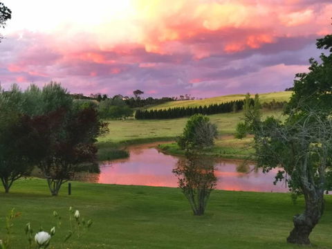Eling Forest Winery - Tourism Townsville 0