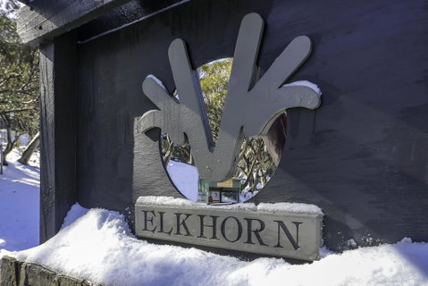Elkhorn 11 - Tourism Townsville 2