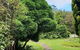 English Gardens - Forest Spa Suite - thumb 0