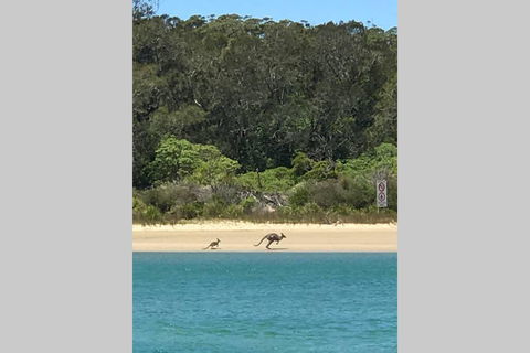 FAIRVIEW COTTAGE 25B - Waterfront Accommodation - Tourism Townsville 0