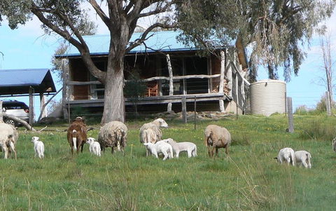 Gaddleen Grove Cottages - Tourism Townsville 0