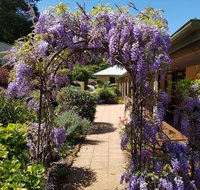 Gumtree House Montville - Tourism Townsville