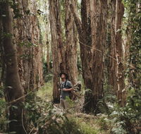 Habitat Noosa - Tourism Townsville