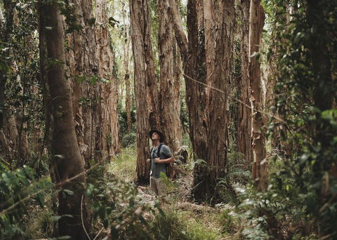 Habitat Noosa - Tourism Townsville 0