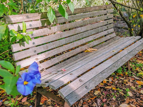 Hakea Bush Cabin - Tourism Townsville 3