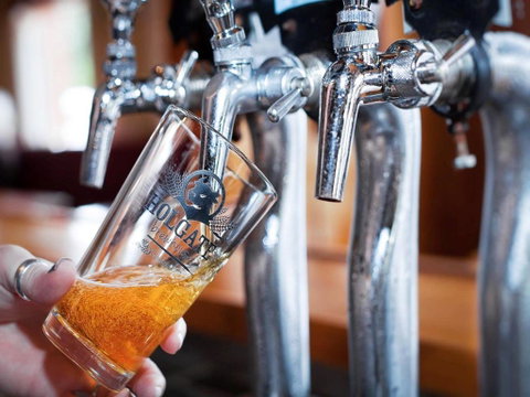Holgate Brewhouse - Tourism Townsville 0