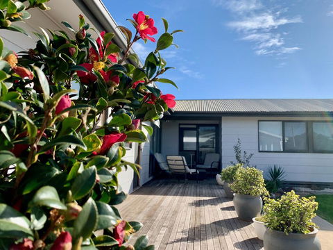 Homely Getaways In Surf Beach - Pet Friendly - Tourism Townsville 0