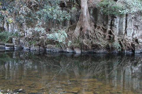 Kaalba - Tourism Townsville 1