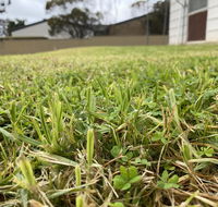 Karoonda Accommodation - Tourism Townsville