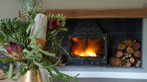 KOALA GULLY - Tourism Townsville 0