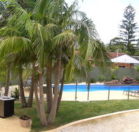 Koala Tree Motel - Tourism Townsville