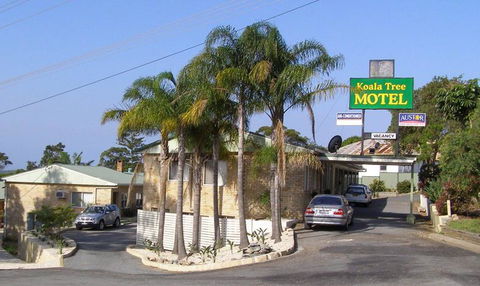 Koala Tree Motel - Tourism Townsville 1