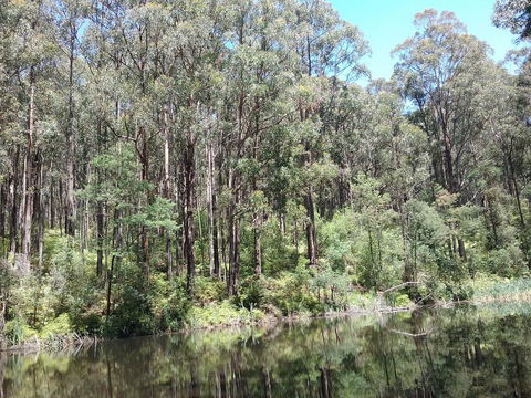 Lyrebird Gully Retreat - Tourism Townsville 2