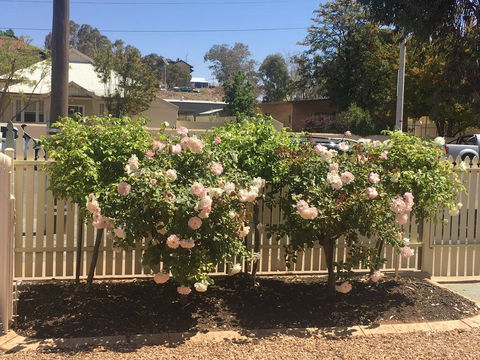 Maeville Cottage - Tourism Townsville 3