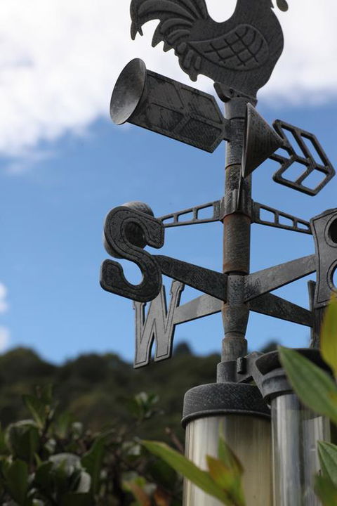 Maleny Hinterland Escape - Tourism Townsville 3