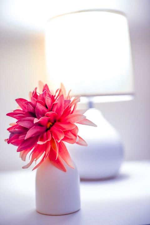 Modern Comfy Apartment@Southern Cross - Tourism Townsville 3