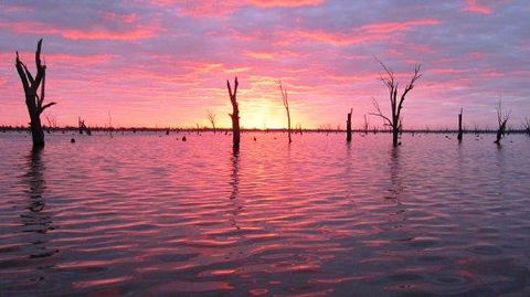 Mulwala Lakeside Apartment - Tourism Townsville 2