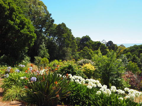 Murrindindi - Tourism Townsville 0