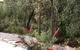 Cape Villas Dunsborough Unit 2 - thumb 22