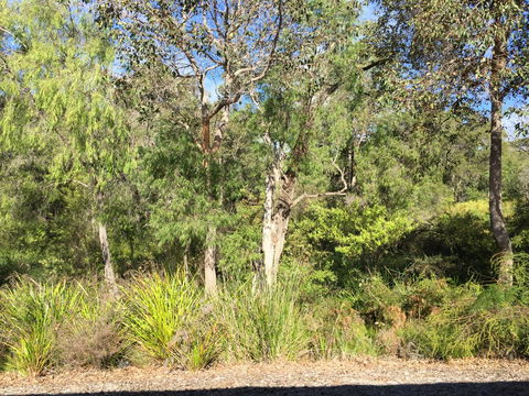 Cape Villas Dunsborough Unit 2 - Tourism Townsville 26