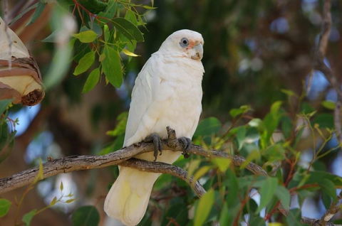 Margaret River Hideaway & Farmstay - Tourism Townsville 26
