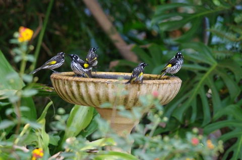 Margaret River Hideaway & Farmstay - Tourism Townsville 30