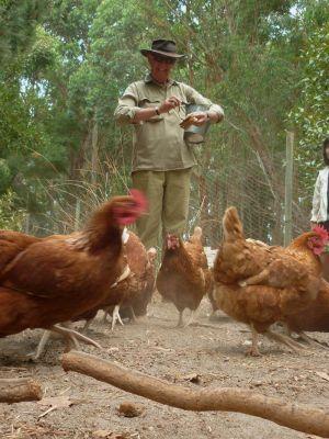Margaret River Hideaway & Farmstay - Tourism Townsville 28