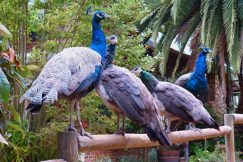 Margaret River Hideaway & Farmstay - Tourism Townsville 19