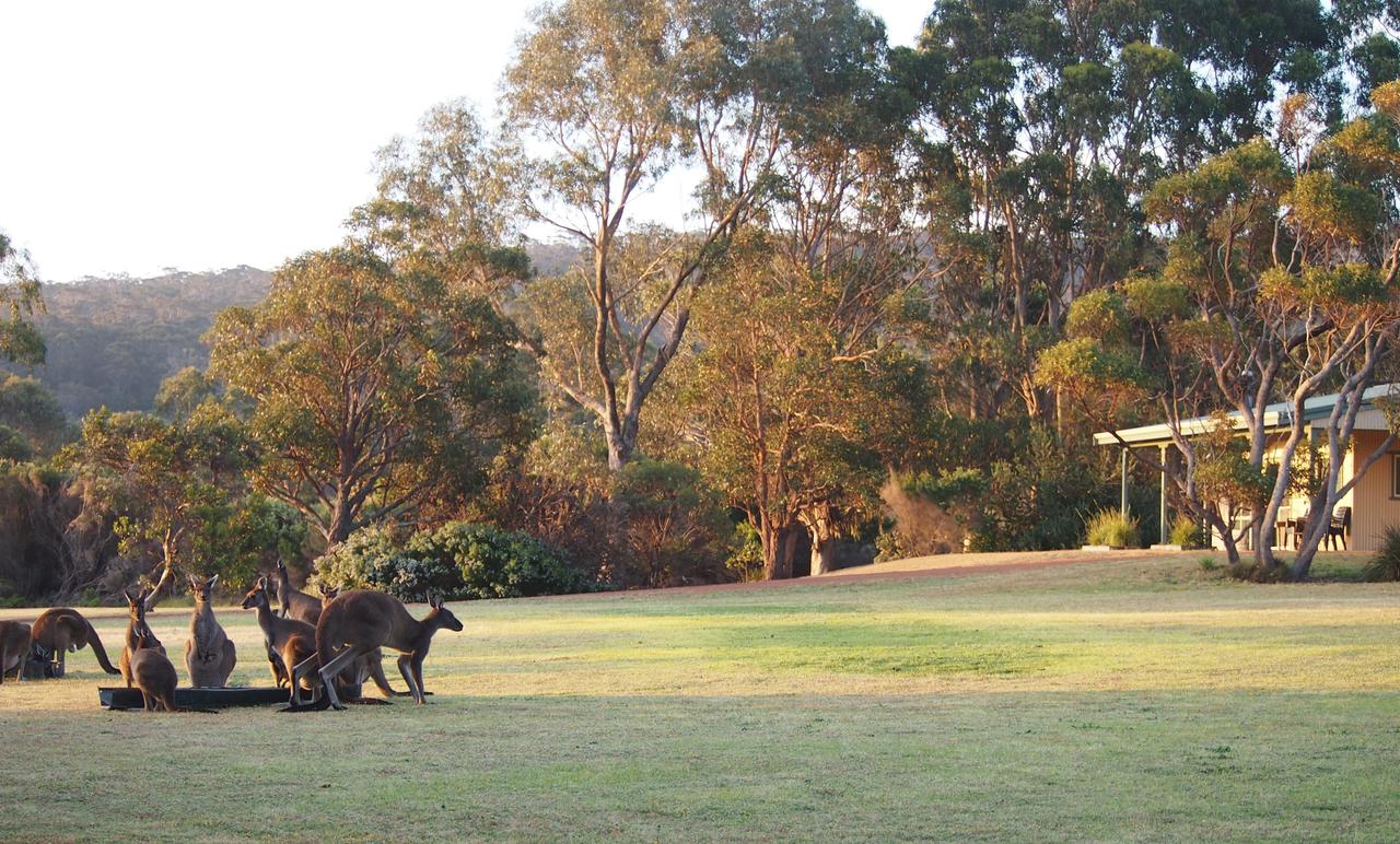  Tourism Townsville