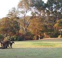 Riverside Retreat Chalets Walpole - Tourism Townsville