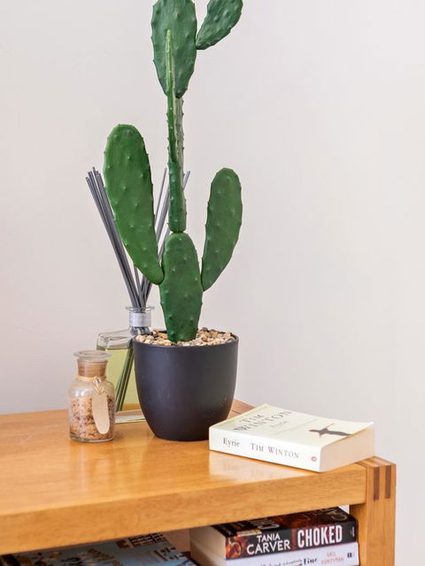 Cooper Street - Tourism Townsville 23