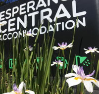 Esperance Central Accommodation - Tourism Townsville