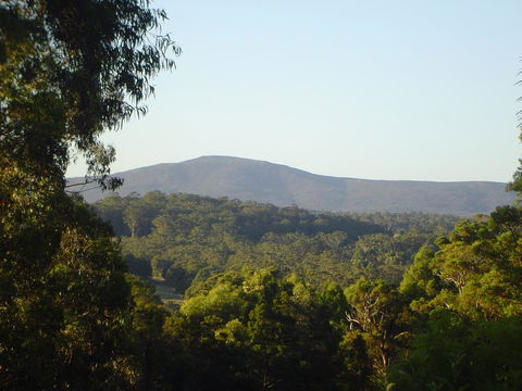 Kangaroo Valley Cottage - Tourism Townsville 19