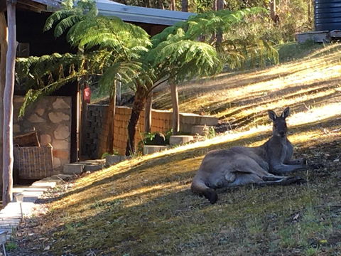 Kangaroo Valley Cottage - Tourism Townsville 3