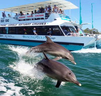 Belvedere Caravan Park - Tourism Townsville