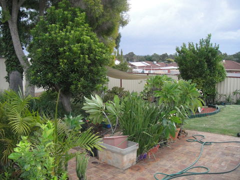 Armadale Cottage Bed & Breakfast - Tourism Townsville 39