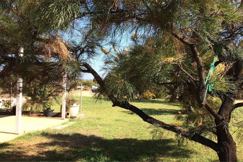 Ocean View Homestead - Tourism Townsville 23