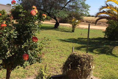 Ocean View Homestead - Tourism Townsville 24