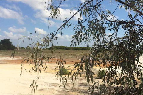 Ocean View Homestead - Tourism Townsville 16